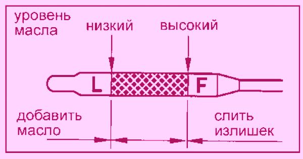 Как проверить уровень масла в АКПП: подробная инструкция с использованием щупа и без